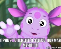 Привет СЛЕНДЕР.Я здесь Поймай меня!!!!!