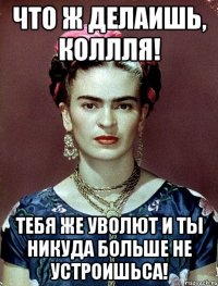 Что ж делаишь, Коллля! Тебя же уволют и ты никуда больше не устроишьса!