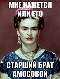 мне кажется или ето старший брат амосовой