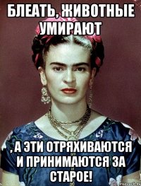 Блеать, животные умирают , а эти отряхиваются и принимаются за старое!