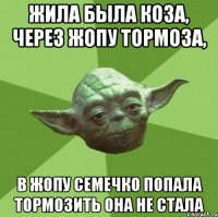 Жила была коза, через жопу тормоза, в жопу семечко попала тормозить она не стала