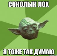 соколык лох я тоже так думаю