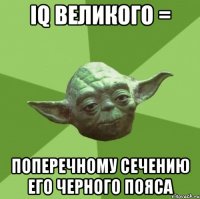 IQ ВЕЛИКОГО = ПОПЕРЕЧНОМУ СЕЧЕНИЮ ЕГО ЧЕРНОГО ПОЯСА