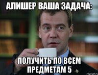 Алишер ваша задача: Получить по всем предметам 5