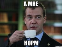 а мне норм