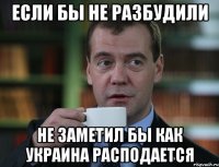 ЕСЛИ БЫ НЕ РАЗБУДИЛИ НЕ ЗАМЕТИЛ БЫ КАК УКРАИНА РАСПОДАЕТСЯ