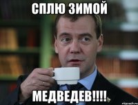 сплю зимой медведев!!!!