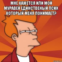 мне кажется или мой муравей единственый псих который меня понимает? 