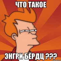 что такое энгри бёрдц ???