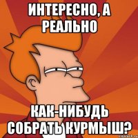 интересно, а реально как-нибудь собрать курмыш?