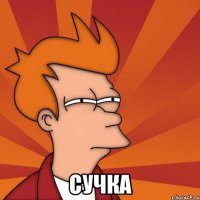  Сучка