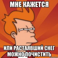 Мне кажется или растаявший снег можно почистить