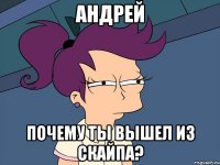Андрей почему ты вышел из скайпа?