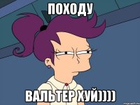 Походу Вальтер хуй))))