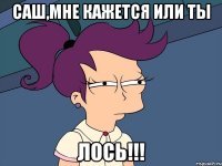 Саш,мне кажется или ты ЛОСЬ!!!