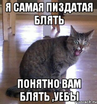 я самая пиздатая Блять понятно вам блять ,уебы