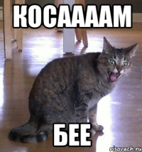 Косаааам бее