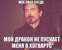 моё лицо когда мой дракон не пускает меня в хогвартс