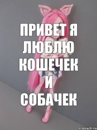 привет я люблю кошечек и собачек