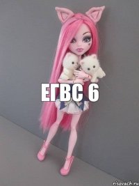 егвс 6