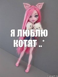 Я люблю котят ..*