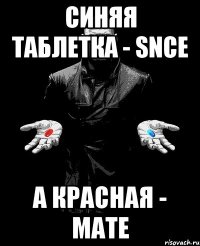 синяя таблетка - SNCE а красная - MATE