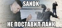 Sandk Не поставил лайк