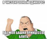 Я чистокровный единорос Где моя башня принцессы блять