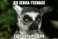 До Zebra-TeenAge ещё четыре дня