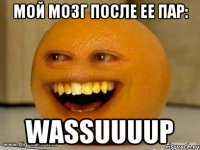 МОЙ МОЗГ ПОСЛЕ ЕЕ ПАР: WASSUUUUP