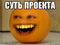 Суть проекта 