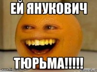 ей янукович ТЮРЬМА!!!!!