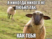 Я никогда никого не любил так, как тебя