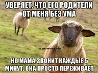 Уверяет, что его родители от меня без ума Но мама звонит каждые 5 минут. Она просто переживает