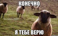 конечно я тебе верю