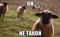 он не такой