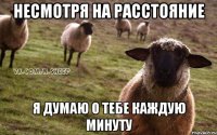 несмотря на расстояние я думаю о тебе каждую минуту