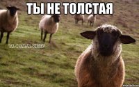 ты не толстая 