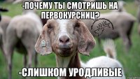 -Почему ты смотришь на первокурсниц? -Слишком уродливые