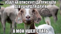 уехал на вписку, туда приехала девушка для друга а мой ушел спать