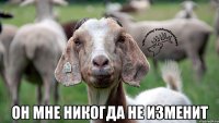  Он мне никогда не изменит