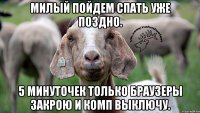 милый пойдем спать уже поздно. 5 минуточек только браузеры закрою и комп выключу.