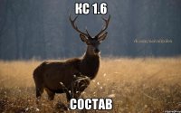 Кс 1.6 Состав