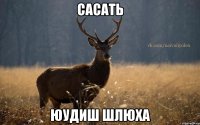 Сасать юудиш шлюха