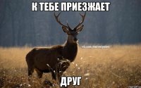 к тебе приезжает друг