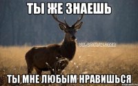 ты же знаешь ты мне любым нравишься