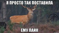 я просто так поставила ему лайк