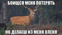 Боищся меня потерять Но делаеш из меня оленя