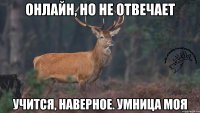 Онлайн, но не отвечает Учится, наверное. Умница моя