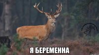  я беременна